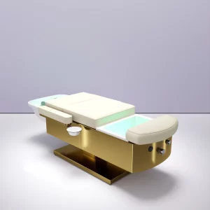 Beauty chair and foot massage bed - H015-08